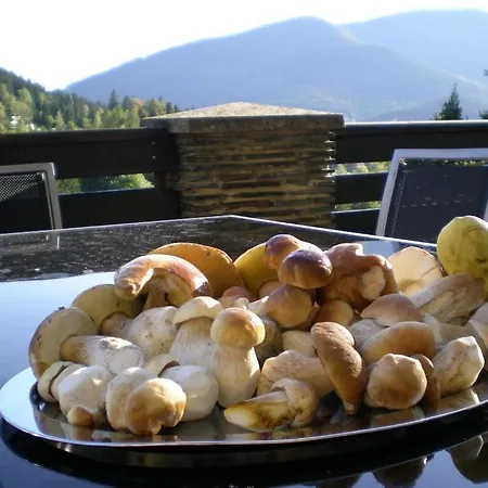 Otel Ondras Z Beskyd Ostravice