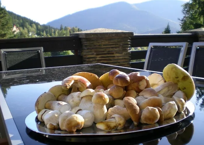 Hotel Ondras Z Beskyd Ostravice